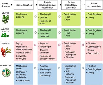 Technological interventions in improving the functionality of proteins during processing of meat analogs